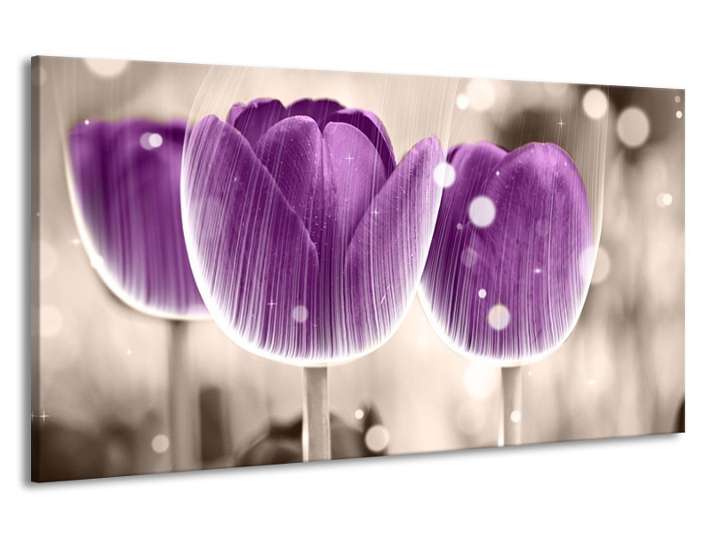 Canvas schilderij Tulp | Paars, Wit | 190x100cm 1Luik