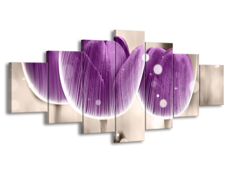 Canvas schilderij Tulp | Paars, Wit | 210x100cm 7Luik