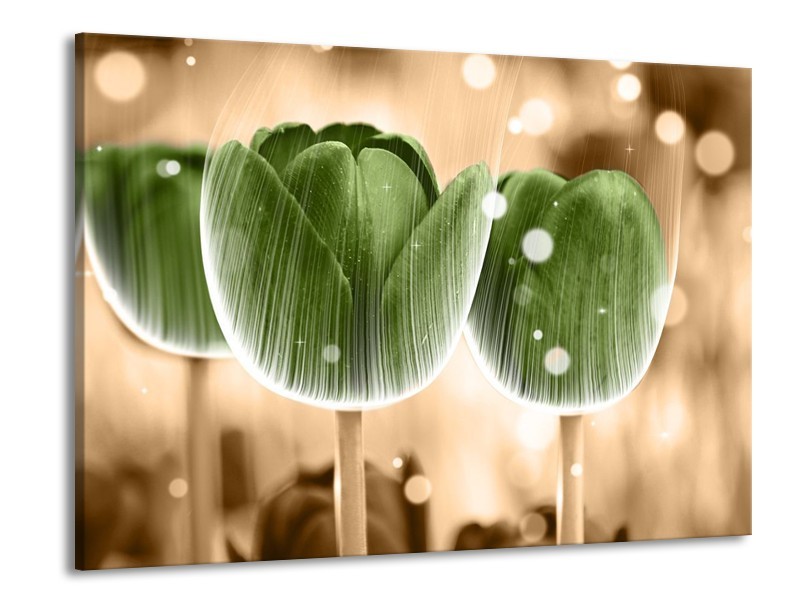 Canvas schilderij Tulp | Groen, Bruin | 100x70cm 1Luik