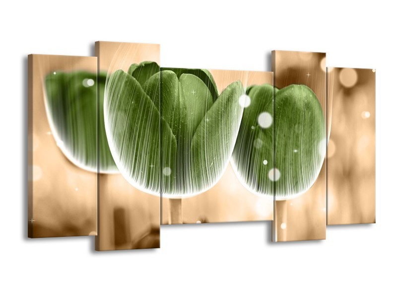 Canvas schilderij Tulp | Groen, Bruin | 120x65 5Luik