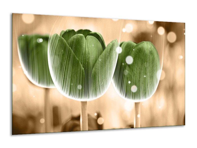 Canvas schilderij Tulp | Groen, Bruin | 120x70cm 1Luik