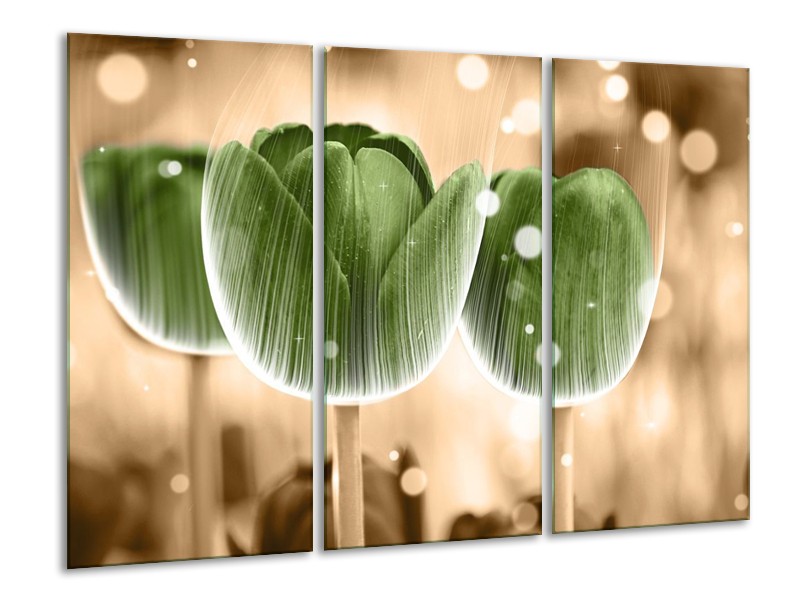 Canvas schilderij Tulp | Groen, Bruin | 120x80cm 3Luik