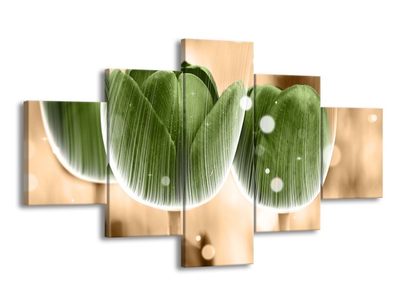 Canvas schilderij Tulp | Groen, Bruin | 125x70cm 5Luik