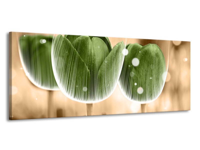 Canvas schilderij Tulp | Groen, Bruin | 145x58cm 1Luik