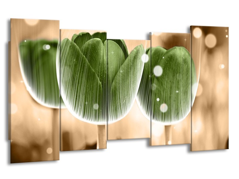 Canvas schilderij Tulp | Groen, Bruin | 150x80cm 5Luik