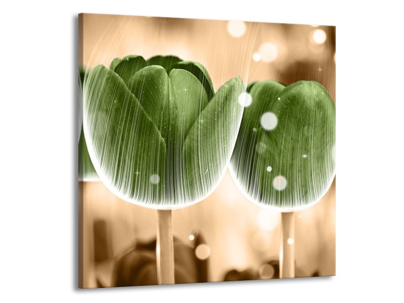 Canvas schilderij Tulp | Groen, Bruin | 50x50cm 1Luik