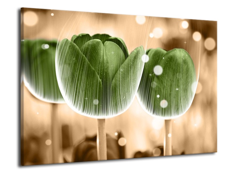 Canvas schilderij Tulp | Groen, Bruin | 70x50cm 1Luik