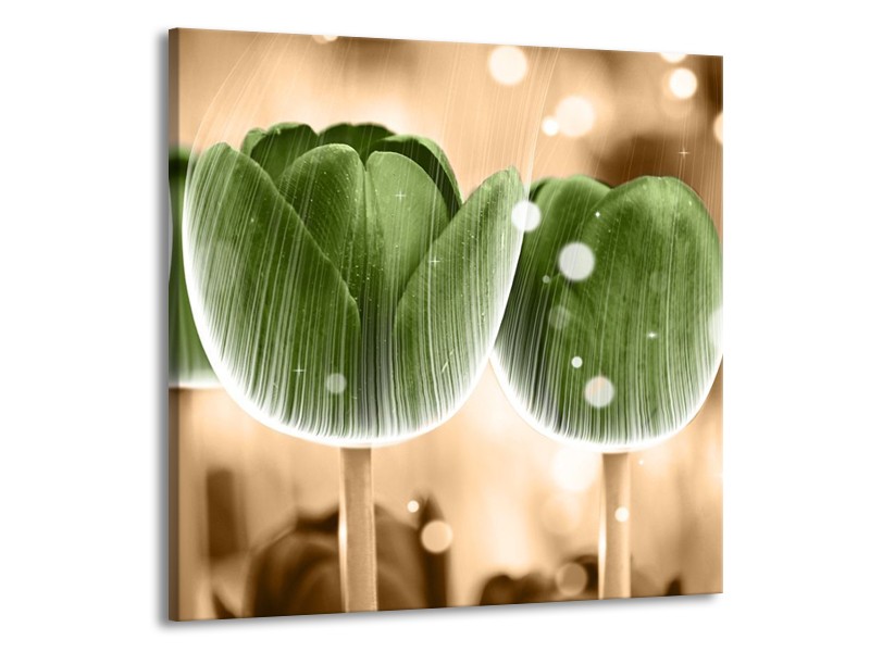 Canvas schilderij Tulp | Groen, Bruin | 70x70cm 1Luik