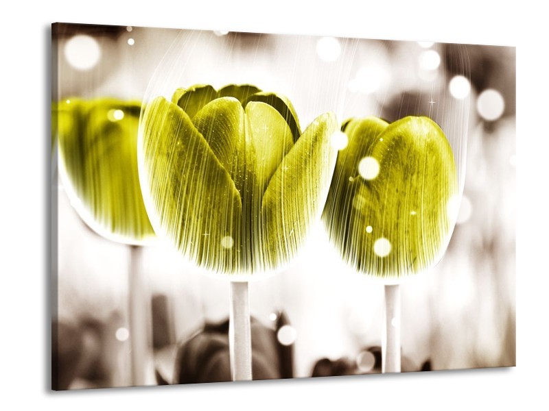 Canvas schilderij Tulp | Geel, Wit | 100x70cm 1Luik