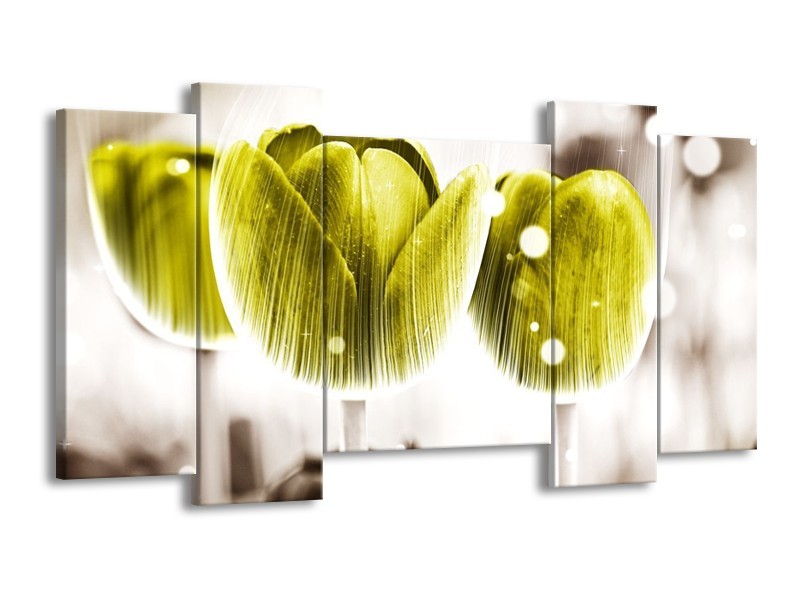Canvas schilderij Tulp | Geel, Wit | 120x65 5Luik