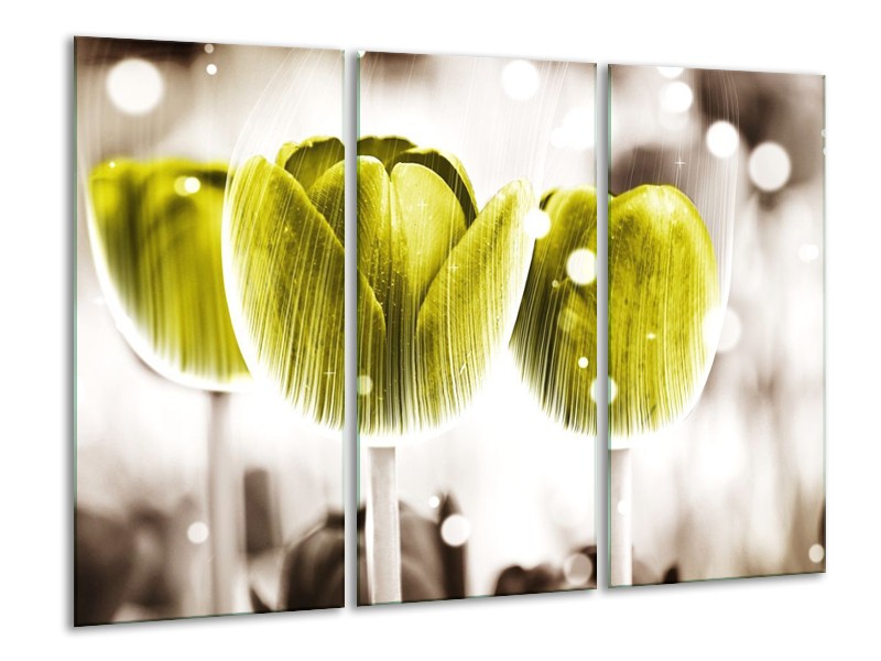Canvas schilderij Tulp | Geel, Wit | 120x80cm 3Luik