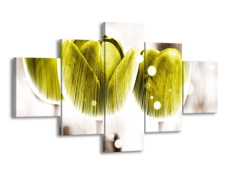 Canvas schilderij Tulp | Geel, Wit | 125x70cm 5Luik