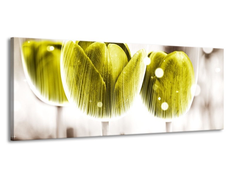 Canvas schilderij Tulp | Geel, Wit | 145x58cm 1Luik