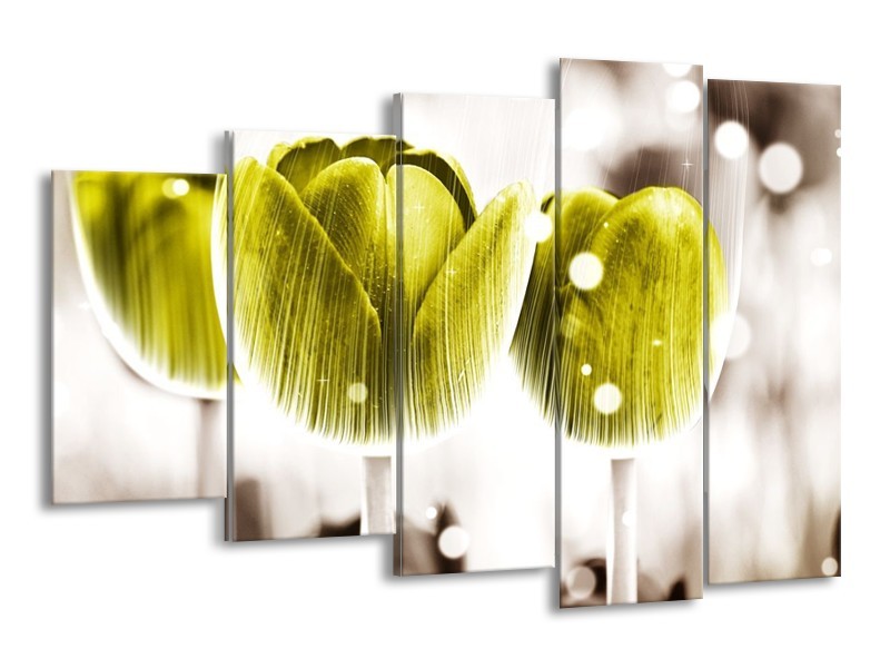 Canvas schilderij Tulp | Geel, Wit | 150x100cm 5Luik