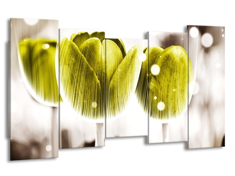 Canvas schilderij Tulp | Geel, Wit | 150x80cm 5Luik