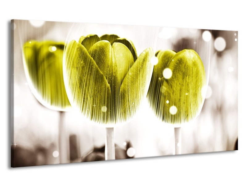 Canvas schilderij Tulp | Geel, Wit | 190x100cm 1Luik