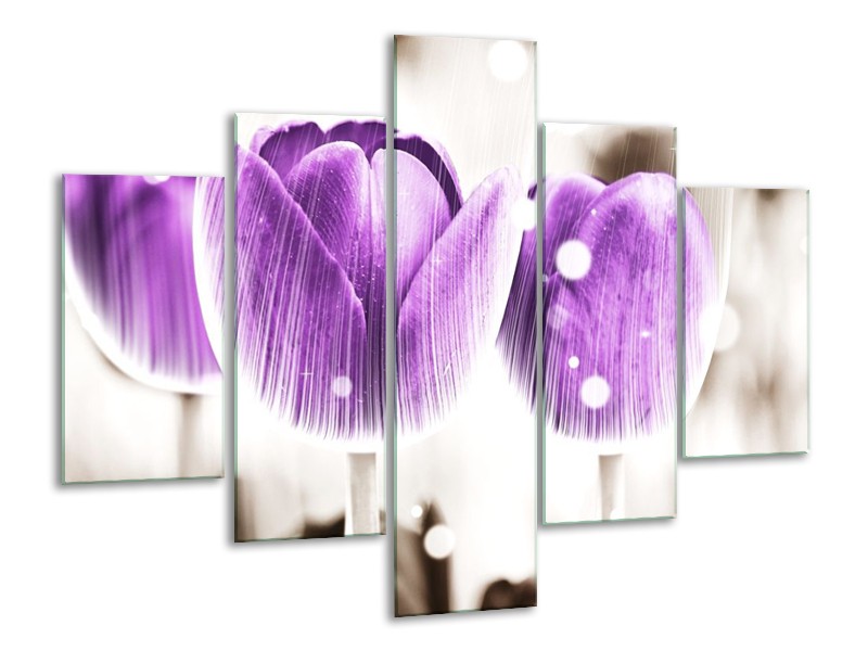 Canvas schilderij Tulp | Paars, Wit | 100x70cm 5Luik