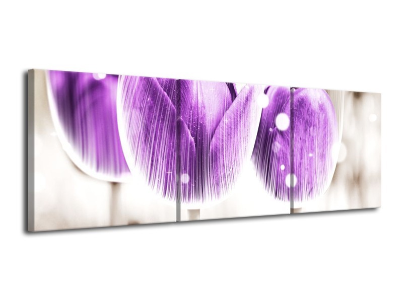 Canvas schilderij Tulp | Paars, Wit | 120x40cm 3Luik