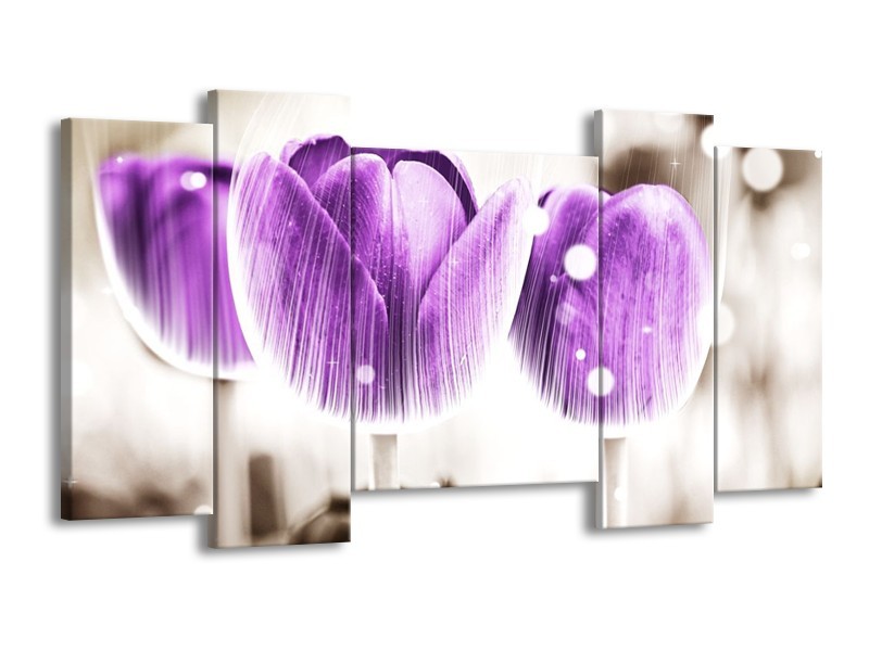 Canvas schilderij Tulp | Paars, Wit | 120x65 5Luik
