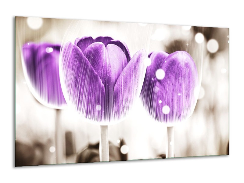 Canvas schilderij Tulp | Paars, Wit | 120x70cm 1Luik
