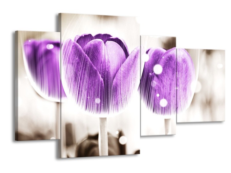 Canvas schilderij Tulp | Paars, Wit | 120x75cm 4Luik