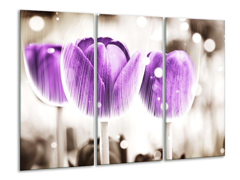 Canvas schilderij Tulp | Paars, Wit | 120x80cm 3Luik