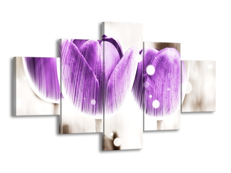 Canvas schilderij Tulp | Paars, Wit | 125x70cm 5Luik