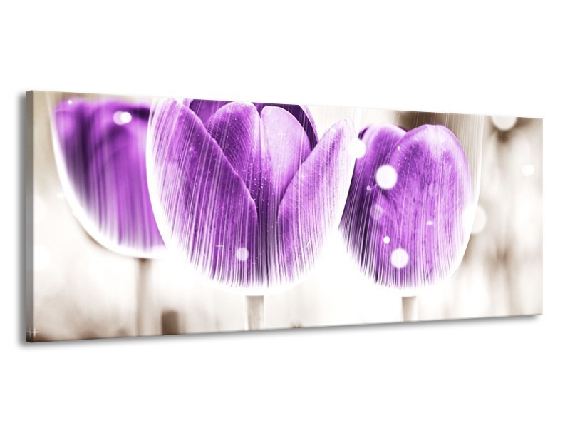 Canvas schilderij Tulp | Paars, Wit | 145x58cm 1Luik