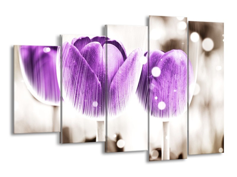 Canvas schilderij Tulp | Paars, Wit | 150x100cm 5Luik