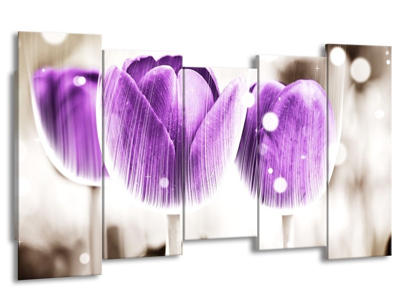 Canvas schilderij Tulp | Paars, Wit | 150x80cm 5Luik