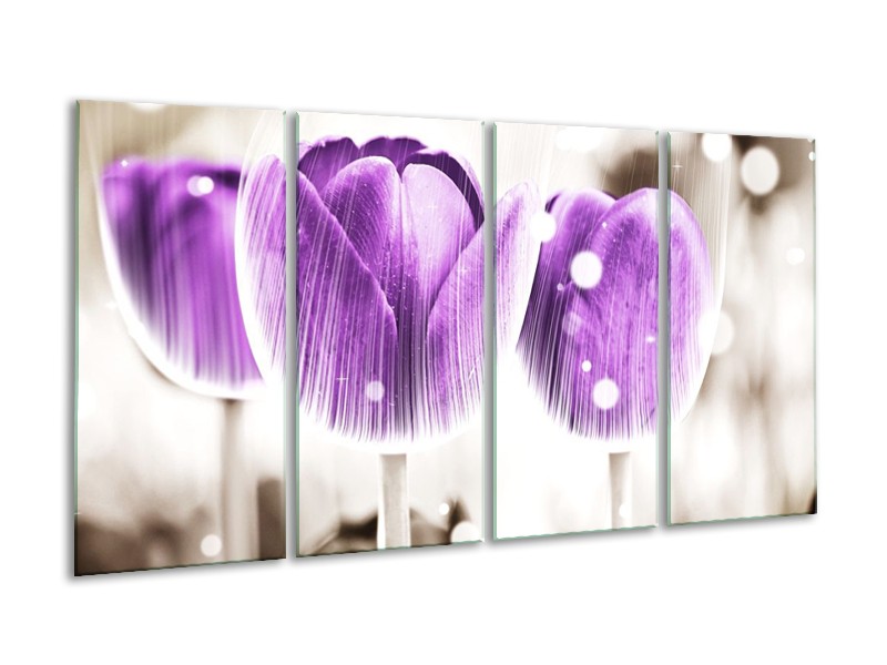 Canvas schilderij Tulp | Paars, Wit | 160x80cm 4Luik