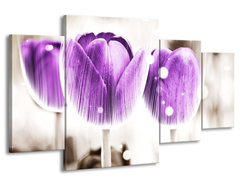 Canvas schilderij Tulp | Paars, Wit | 160x90cm 4Luik