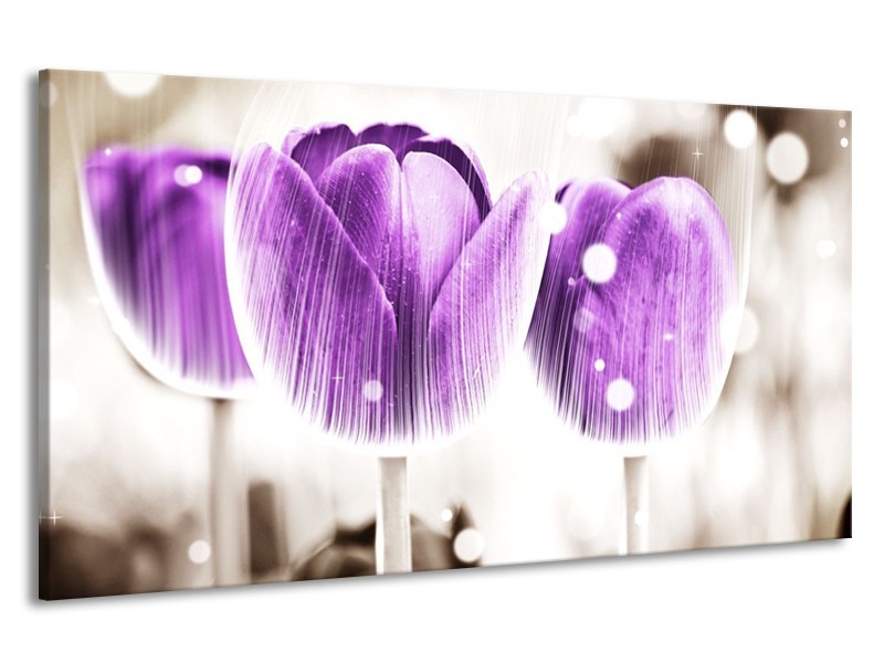 Canvas schilderij Tulp | Paars, Wit | 190x100cm 1Luik