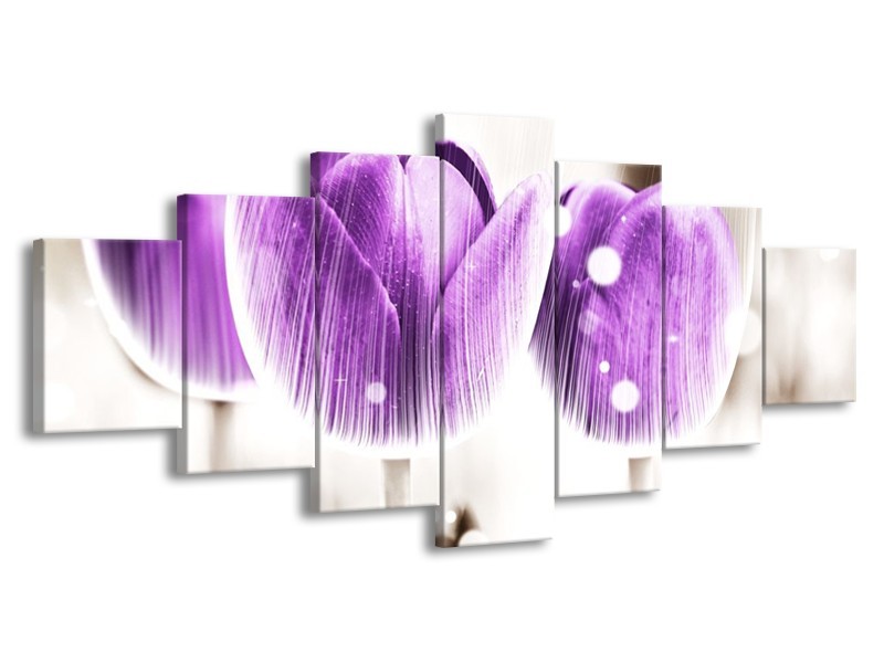 Canvas schilderij Tulp | Paars, Wit | 210x100cm 7Luik