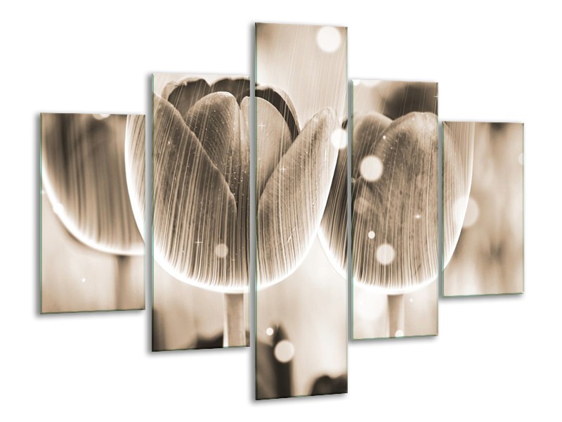 Glas schilderij Tulp | Grijs | 100x70cm 5Luik