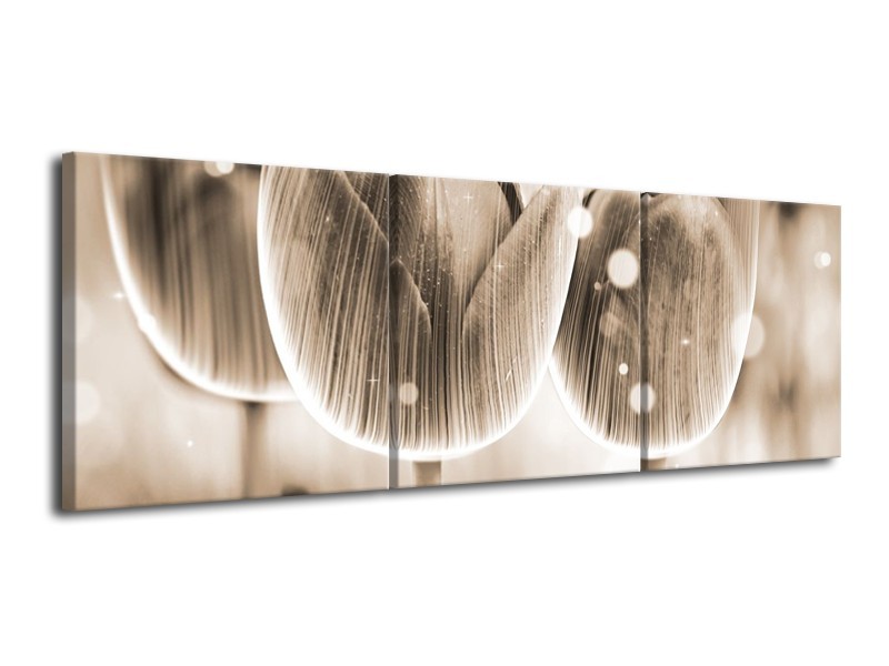 Glas schilderij Tulp | Grijs | 120x40cm 3Luik