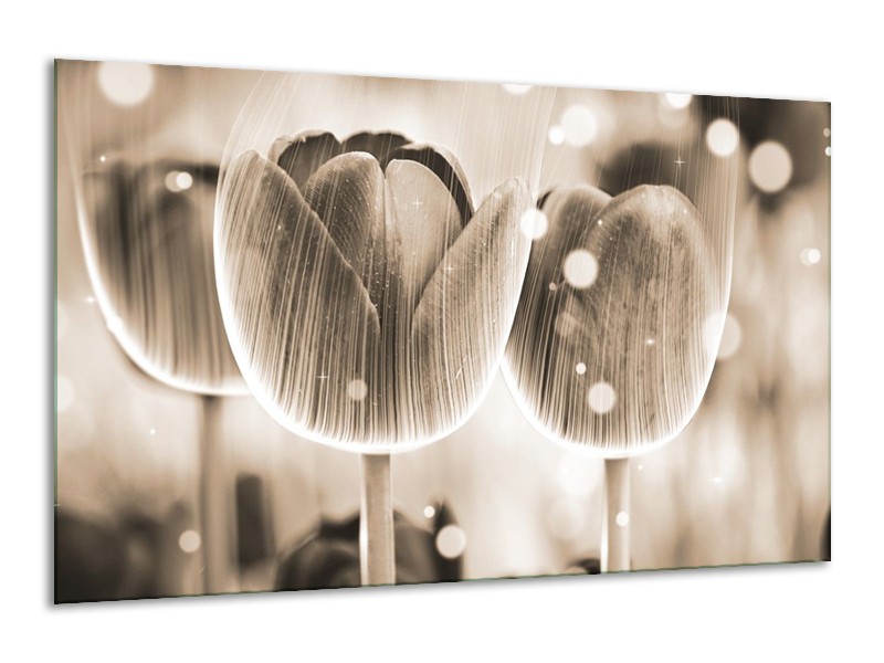 Canvas schilderij Tulp | Grijs | 120x70cm 1Luik