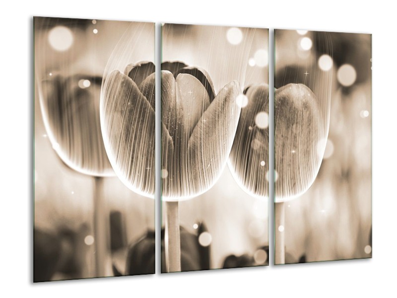 Glas schilderij Tulp | Grijs | 120x80cm 3Luik