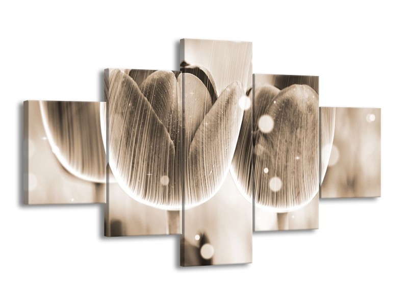 Glas schilderij Tulp | Grijs | 125x70cm 5Luik