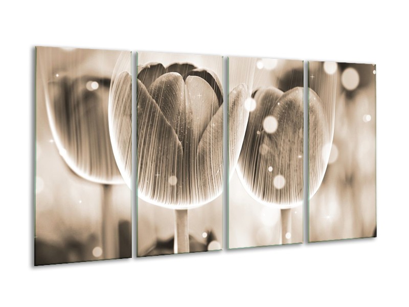Glas schilderij Tulp | Grijs | 160x80cm 4Luik