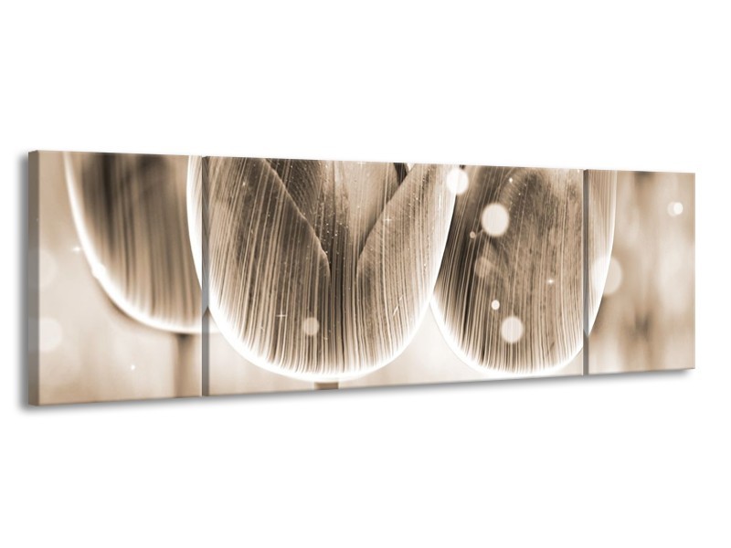 Glas schilderij Tulp | Grijs | 170x50cm 3Luik