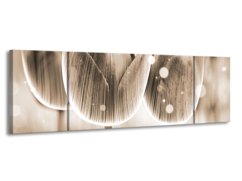 Canvas schilderij Tulp | Grijs | 170x50cm 3Luik