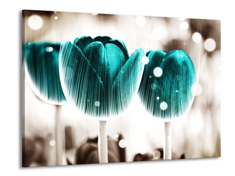Canvas schilderij Tulp | Blauw, Wit | 100x70cm 1Luik