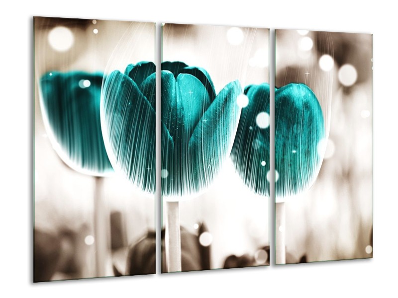 Canvas schilderij Tulp | Blauw, Wit | 120x80cm 3Luik
