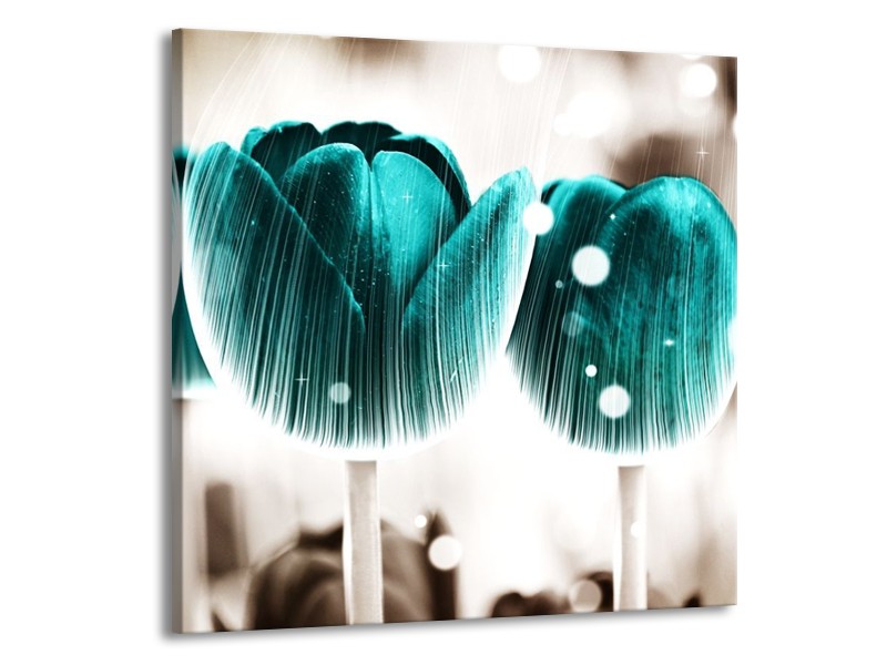 Canvas schilderij Tulp | Blauw, Wit | 50x50cm 1Luik