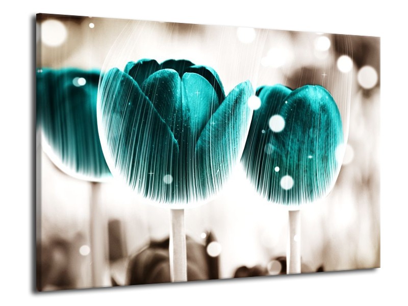 Canvas schilderij Tulp | Blauw, Wit | 70x50cm 1Luik