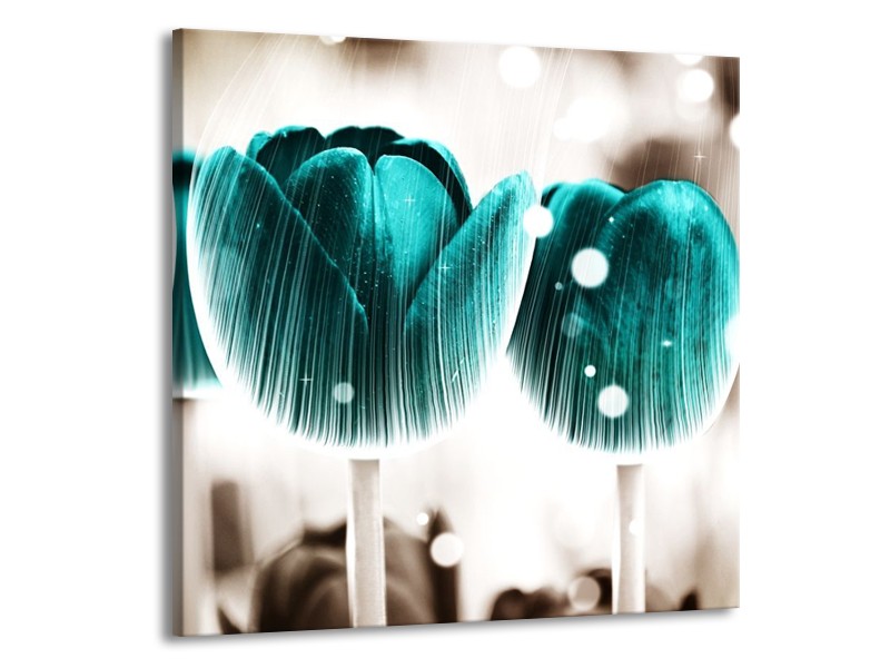 Canvas schilderij Tulp | Blauw, Wit | 70x70cm 1Luik