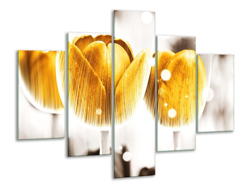 Canvas schilderij Tulp | Geel, Wit | 100x70cm 5Luik