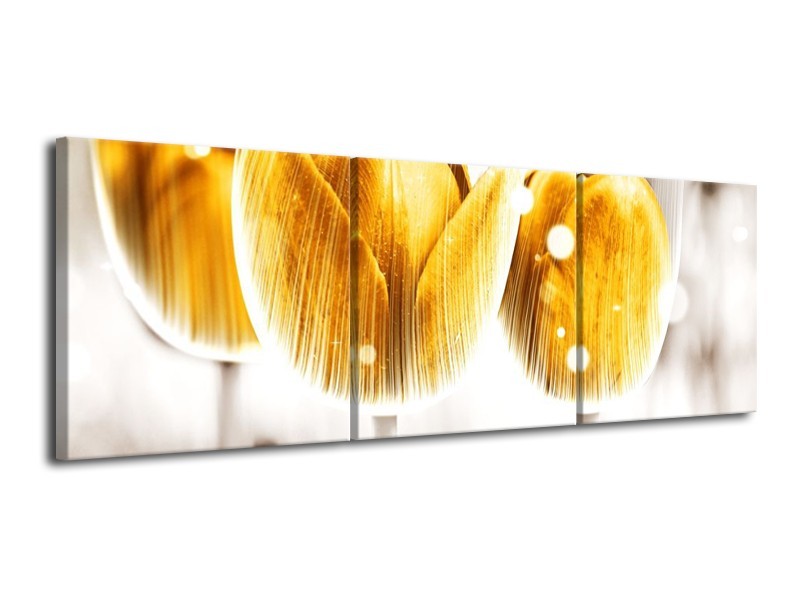 Canvas schilderij Tulp | Geel, Wit | 120x40cm 3Luik