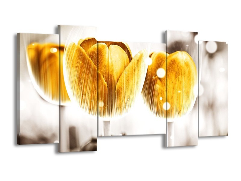 Canvas schilderij Tulp | Geel, Wit | 120x65 5Luik